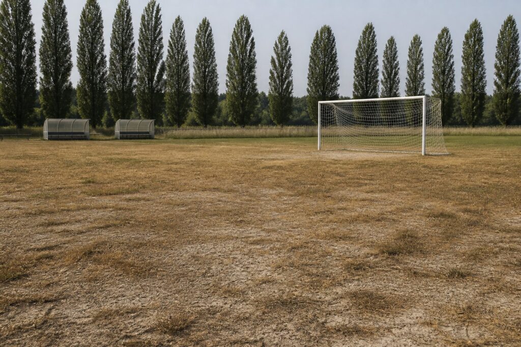 Verdroogd voetbalveld met bruine kale plekken en een doel bij een populierenrij